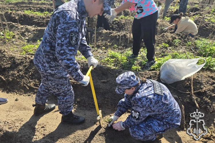 Сотрудники вневедомственной охраны в Тюменской области поддержали  патриотическую акцию  «Сад памяти»